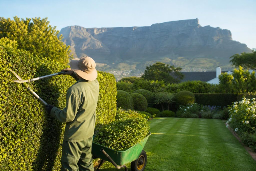 Garden Services in Cape Town: What They Cost and What Is Included