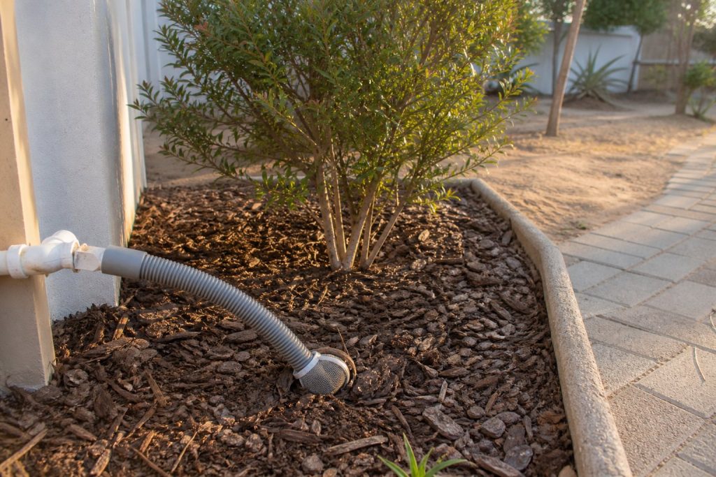 Is Greywater Legal for Garden Use in South Africa? A Cape Town Homeowner’s Guide