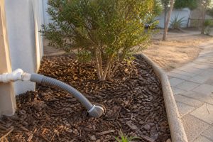 Washing machine greywater discharging into a mulched planting basin around an indigenous shrub in a Cape Town garden